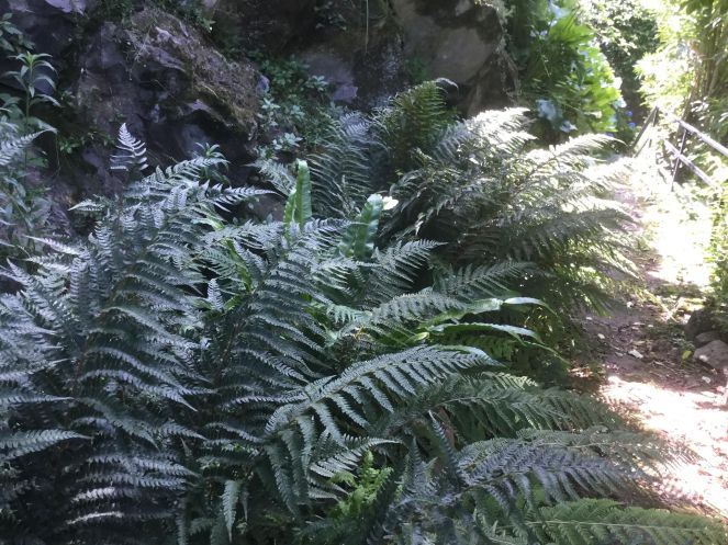 35970154_214289496062277_4906073036924387328_n