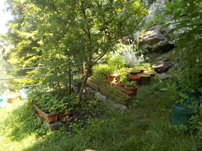 DSCN0020 (FILEminimizer)