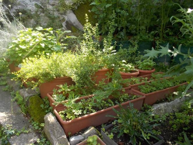 DSCN0022 (FILEminimizer)