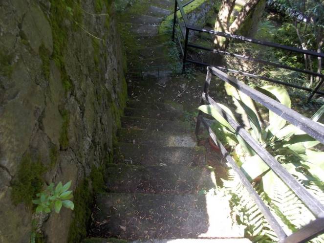 DSCN0023 (FILEminimizer)