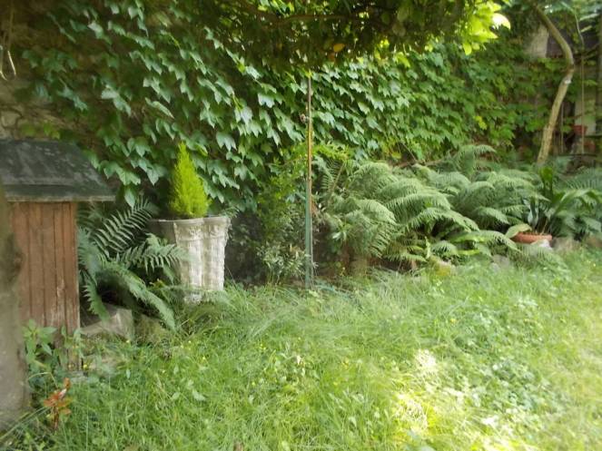 DSCN0032 (FILEminimizer)