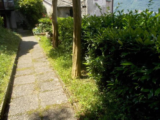 DSCN0037 (FILEminimizer)