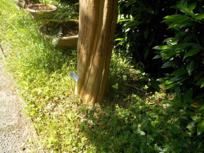 DSCN0041 (FILEminimizer)