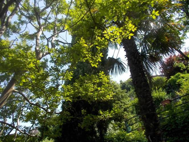 DSCN0045 (FILEminimizer)