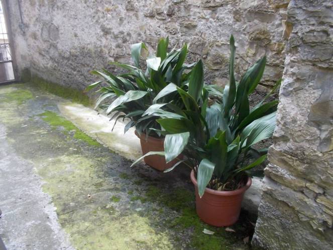 DSCN0052 (FILEminimizer)