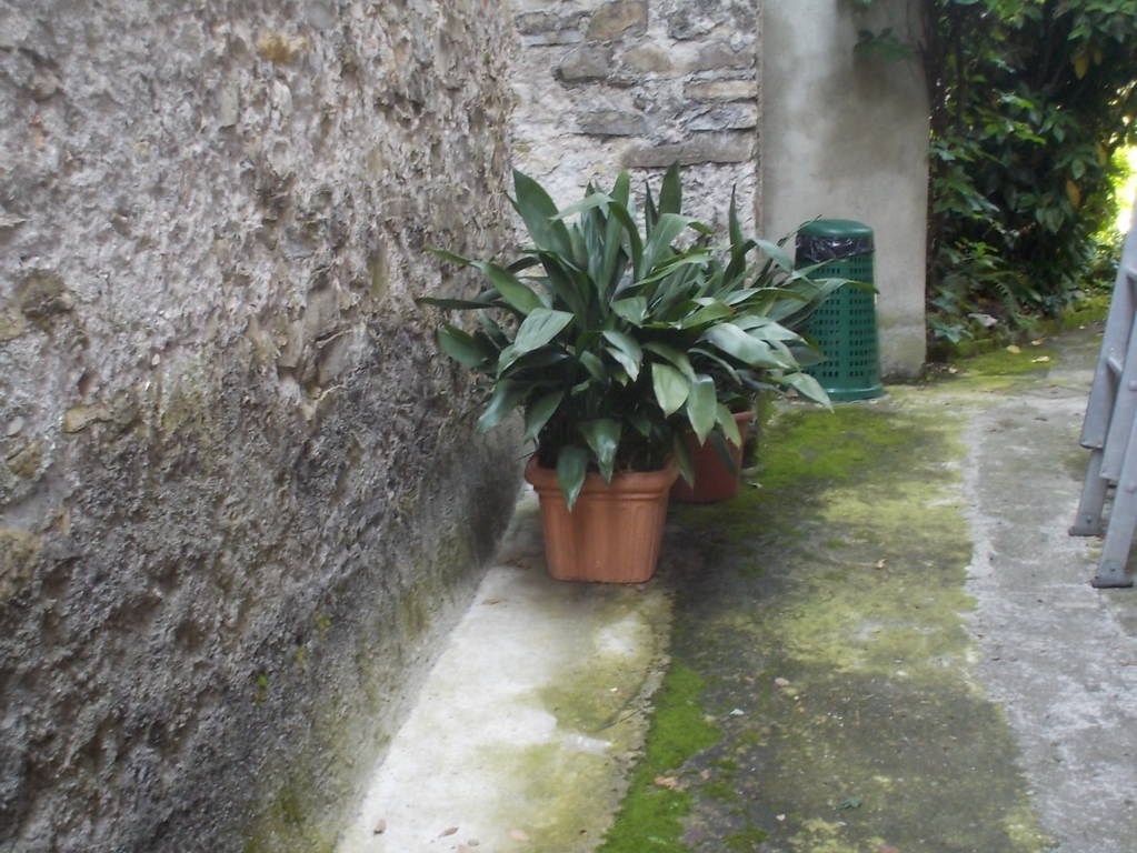 DSCN0056 (FILEminimizer)