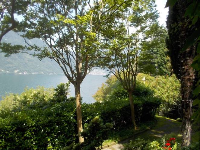 DSCN0072 (FILEminimizer)