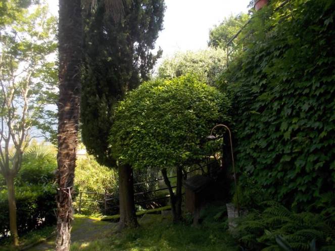 DSCN0073 (FILEminimizer)