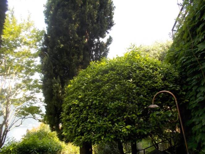 DSCN0074 (FILEminimizer)