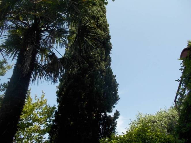 DSCN0075 (FILEminimizer)