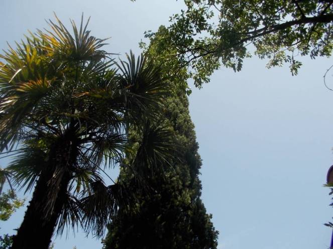 DSCN0076 (FILEminimizer)