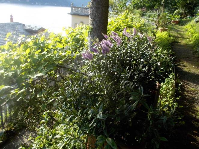 DSCN0101 (FILEminimizer)