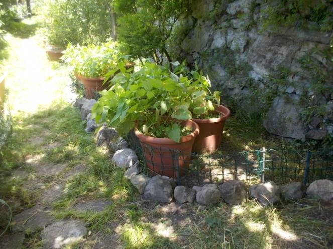 DSCN0124 (FILEminimizer)