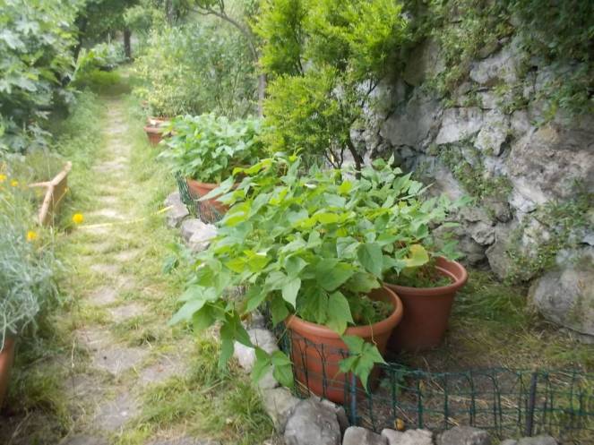 DSCN0314 (FILEminimizer)