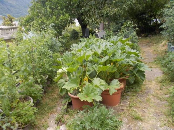 DSCN0317 (FILEminimizer)