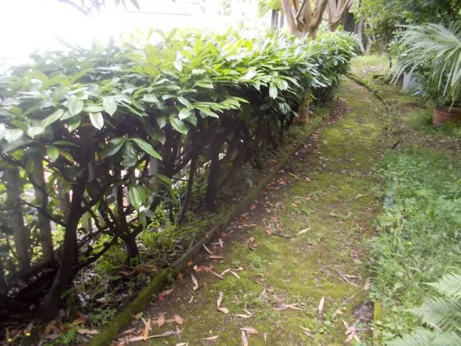 DSCN9753 (FILEminimizer)