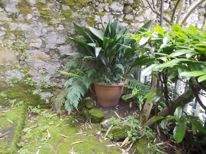 DSCN9756 (FILEminimizer)