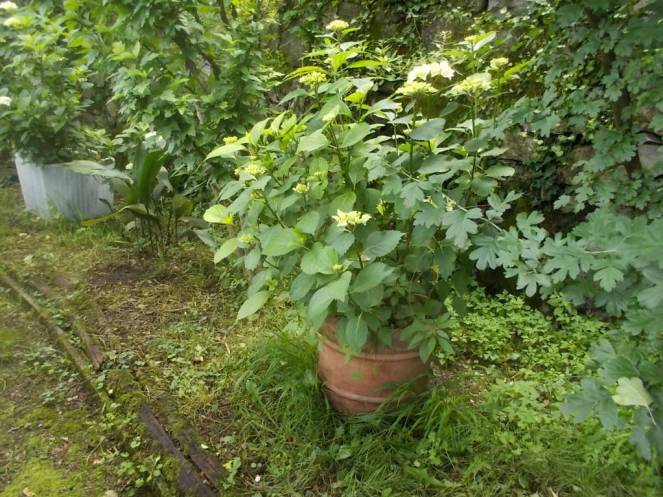 DSCN9757 (FILEminimizer)