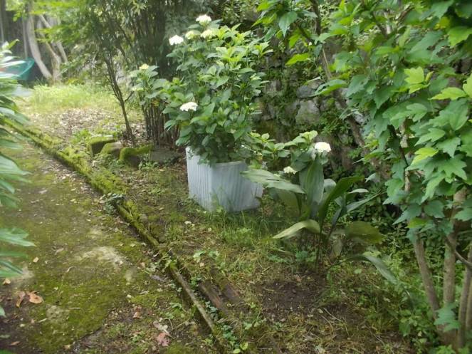 DSCN9758 (FILEminimizer)