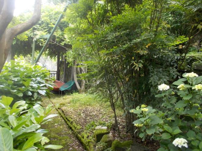 DSCN9759 (FILEminimizer)