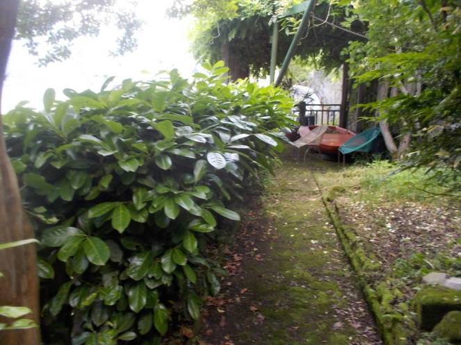 DSCN9760 (FILEminimizer)