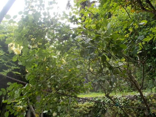 DSCN9761 (FILEminimizer)