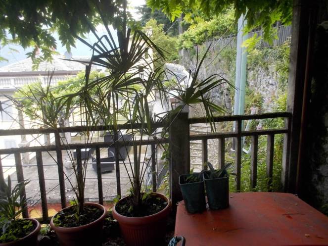 DSCN9763 (FILEminimizer)