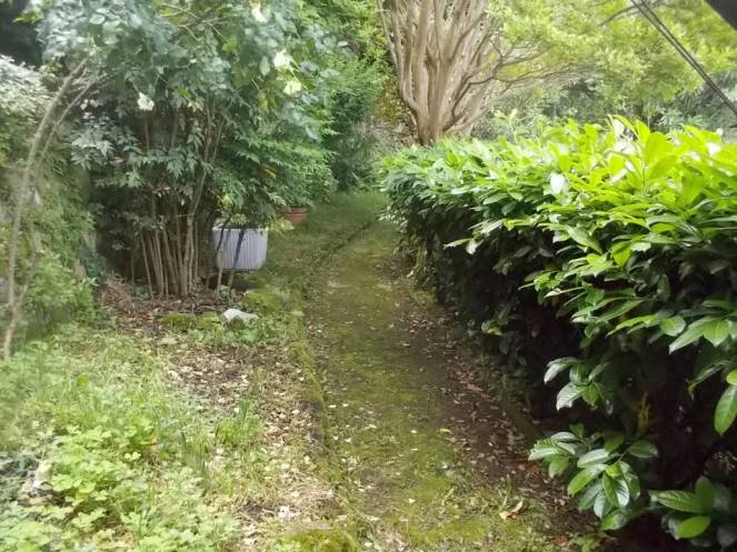 DSCN9765 (FILEminimizer)