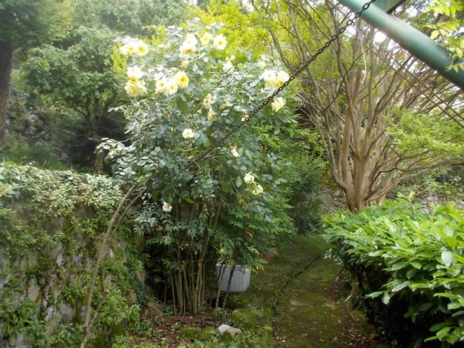 DSCN9766 (FILEminimizer)