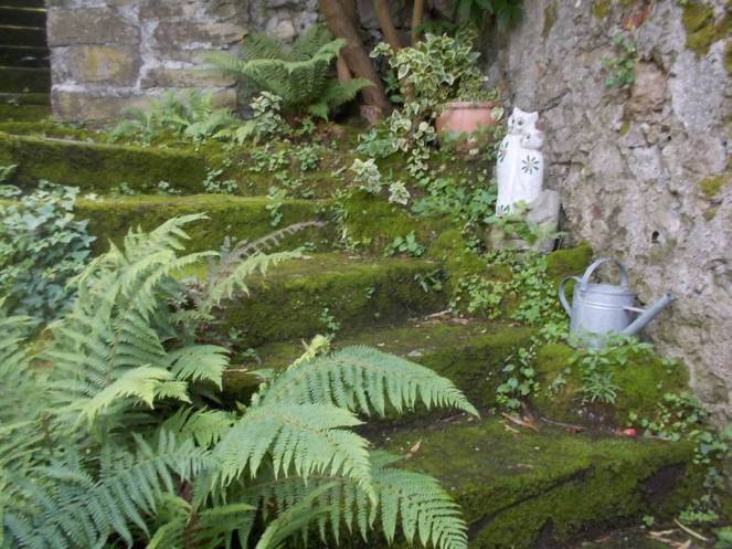 DSCN9769 (FILEminimizer)