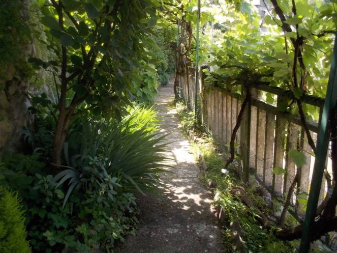 DSCN9772 (FILEminimizer)