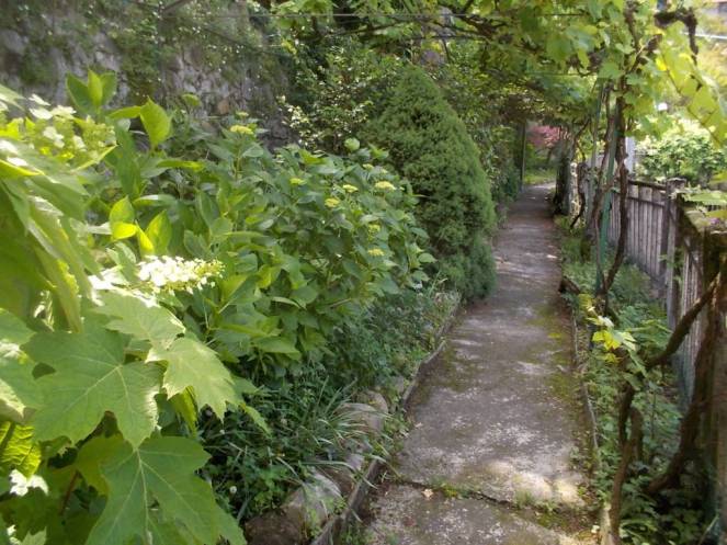 DSCN9774 (FILEminimizer)