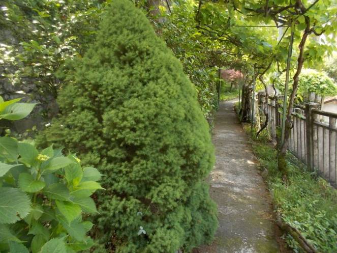 DSCN9775 (FILEminimizer)