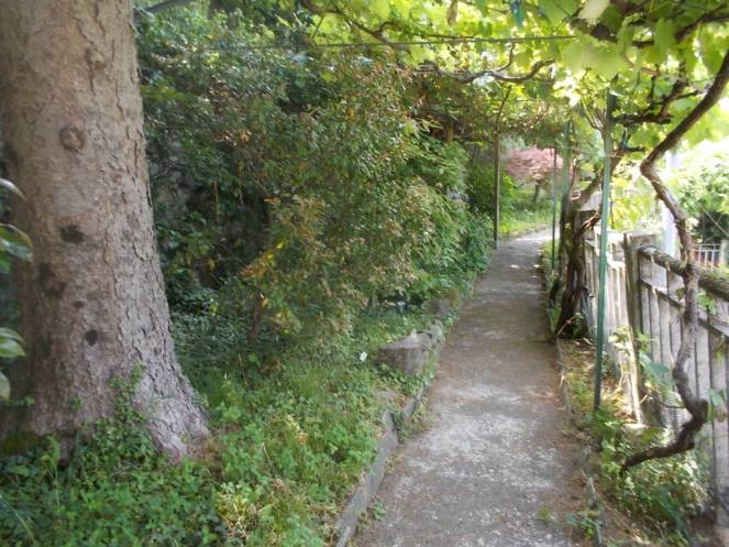 DSCN9776 (FILEminimizer)