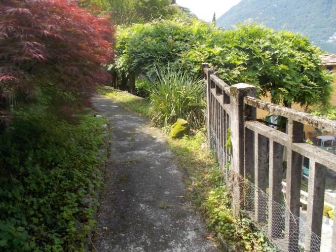 DSCN9782 (FILEminimizer)