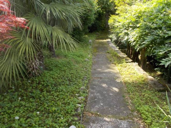 DSCN9783 (FILEminimizer)