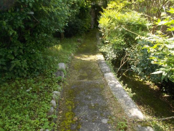 DSCN9785 (FILEminimizer)