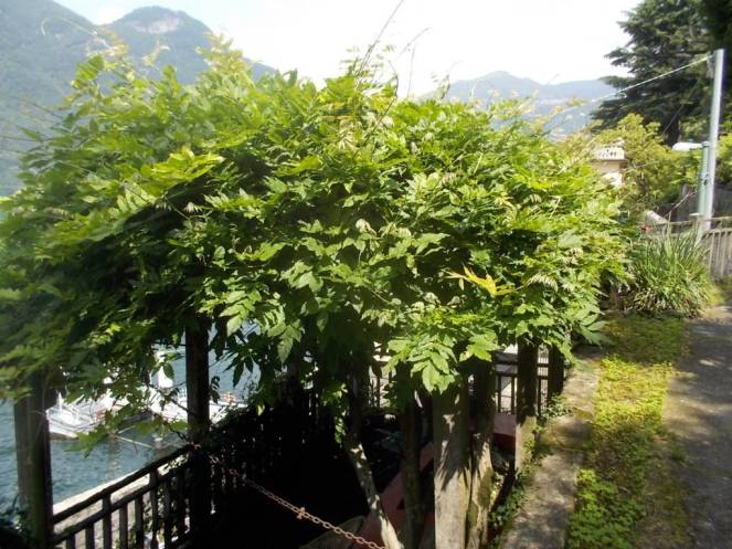 DSCN9786 (FILEminimizer)