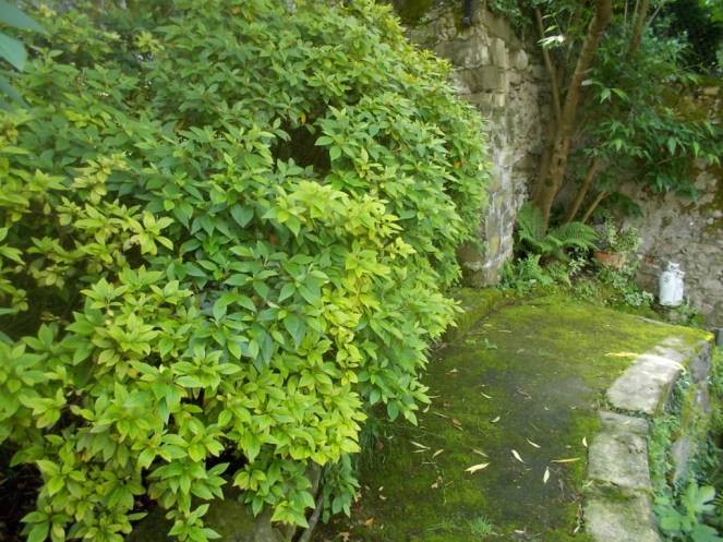 DSCN9788 (FILEminimizer)