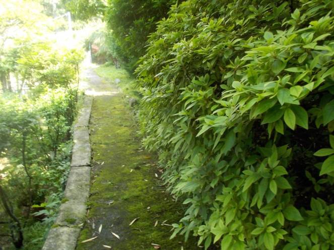 DSCN9789 (FILEminimizer)