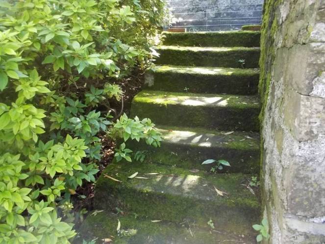 DSCN9790 (FILEminimizer)