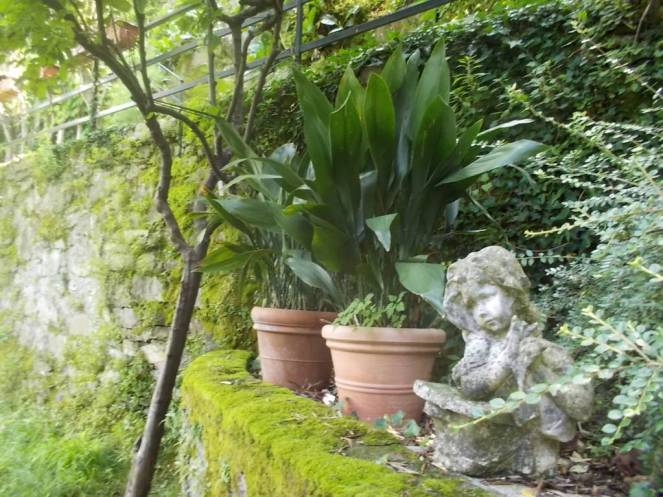 DSCN9793 (FILEminimizer)