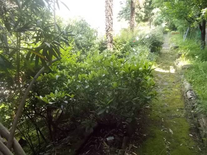 DSCN9794 (FILEminimizer)