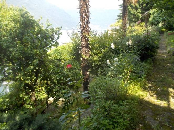 DSCN9795 (FILEminimizer)