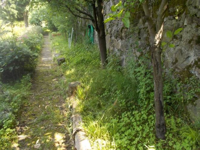 DSCN9796 (FILEminimizer)