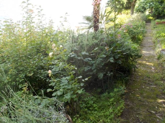 DSCN9797 (FILEminimizer)