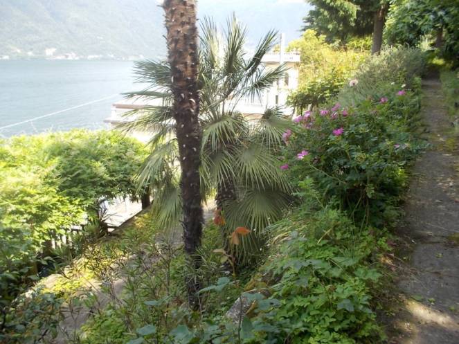 DSCN9798 (FILEminimizer)