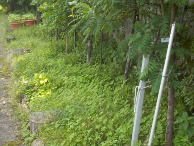 DSCN9800 (FILEminimizer)