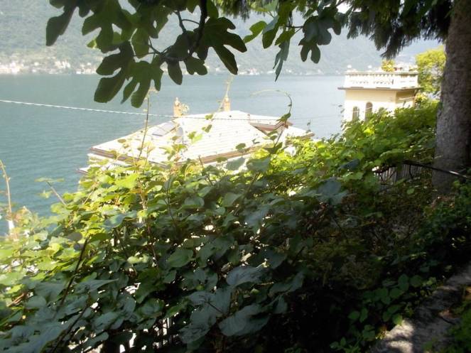 DSCN9809 (FILEminimizer)