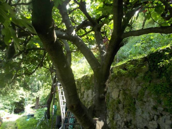 DSCN9811 (FILEminimizer)